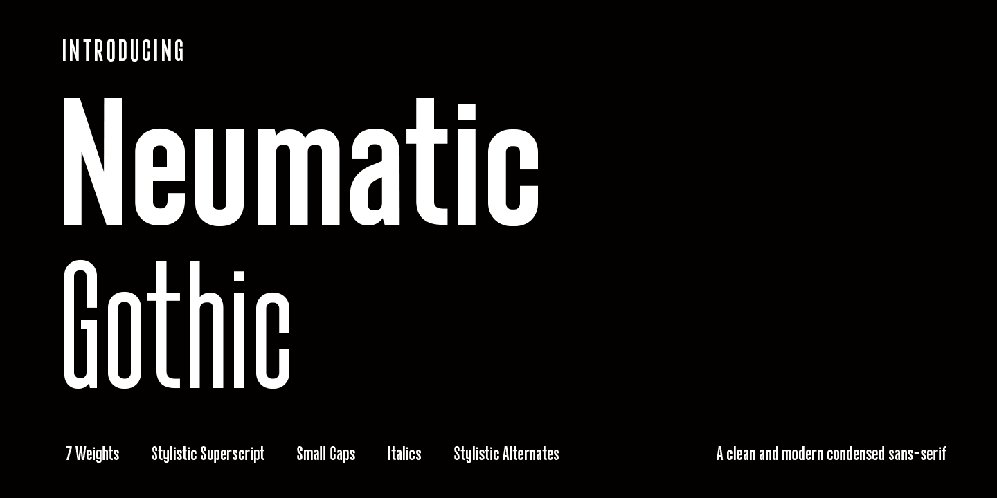 Przykładowa czcionka Neumatic Gothic #1